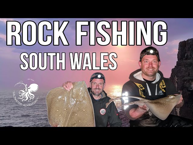 ROCK FISHING, The dongle rig South Wales shore fishing.. Rays