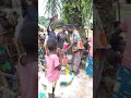 Les femmes pilent le manioc dans le territoire de kungu province de sudubangi rdcongo