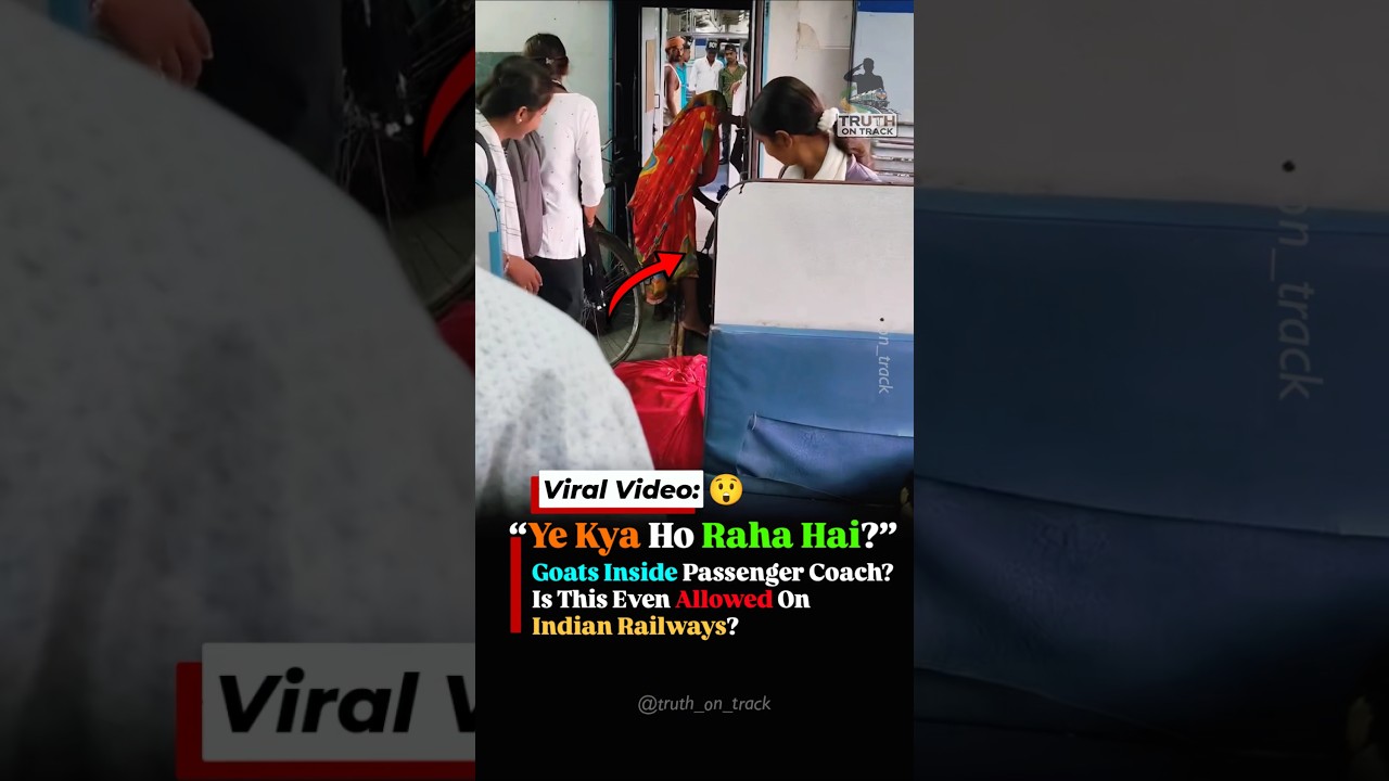 Goats Found Inside Passenger Train Coach! Is This Even Allowed? #shorts #indianrailways