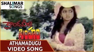 Kondaveeti Simham Athamadugu Video Song Ntr, Sridevi Shalimarsongs