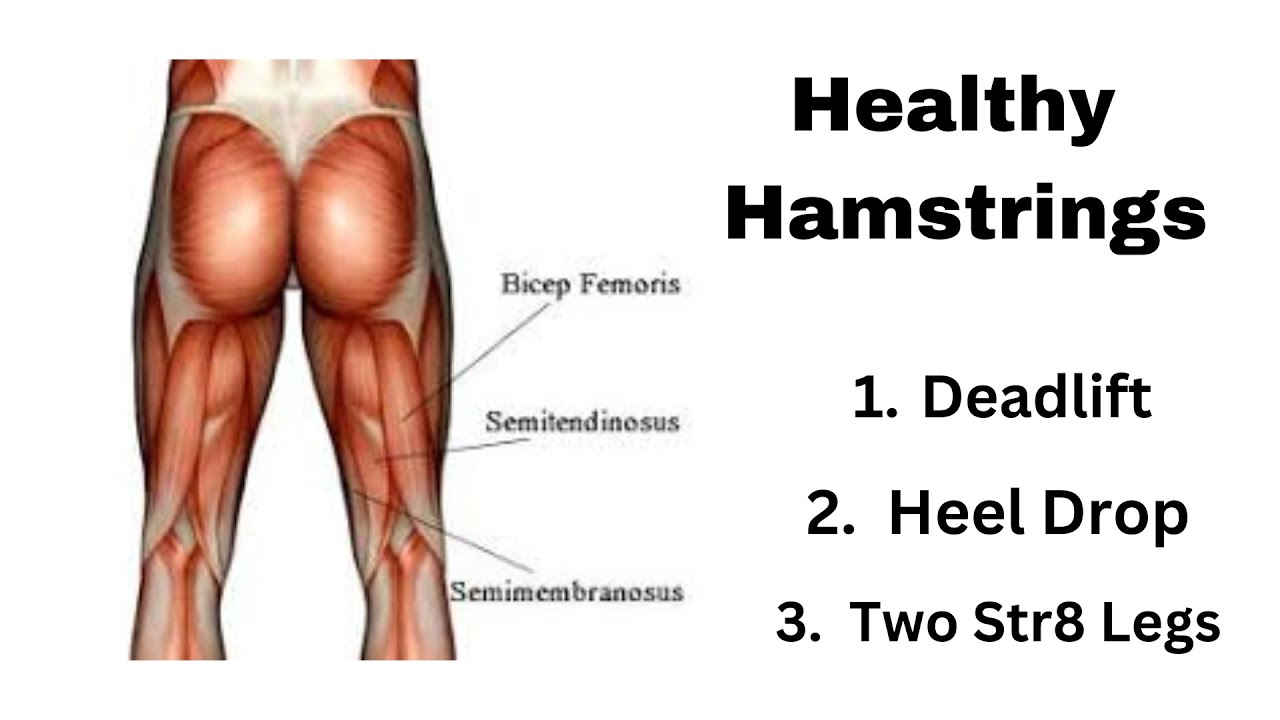 Healthy Hamstring Exercises for Seniors - YouTube