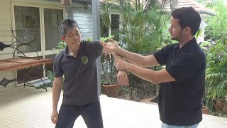 Wing Chun Soft Hands Pt4 screenshot 5