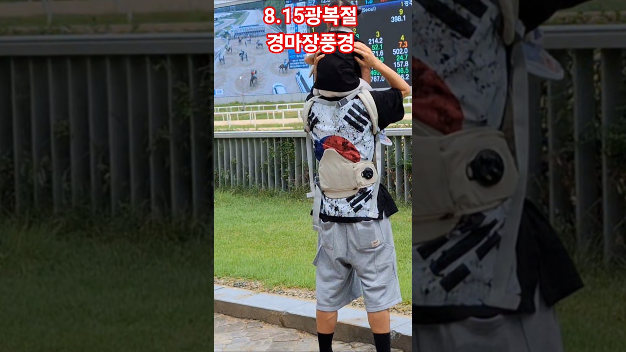잘보여?#경마 #말 #달려라말 #shorts