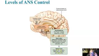 Ch 14 Part 4 More About Autonomic Regulation and Homeostatic Imbalances