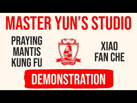 Xiao Fan Che Form Demonstration | Seven Star Praying Mantis Kung Fu