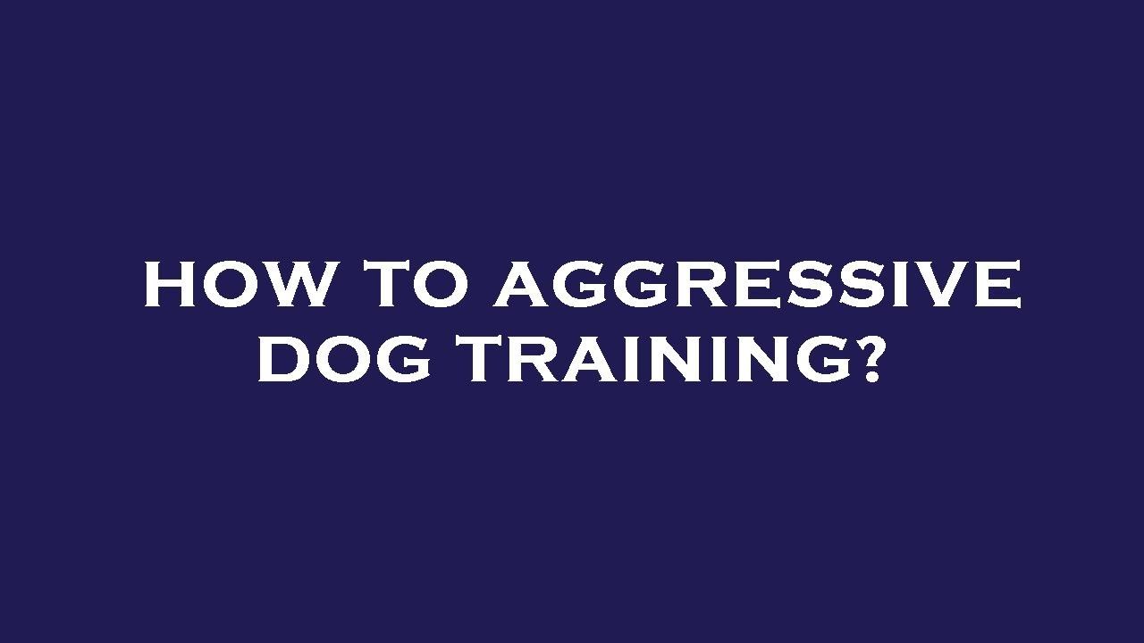 How to aggressive dog training? YouTube