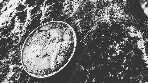 Extreme macro zoom on a coin and leaf