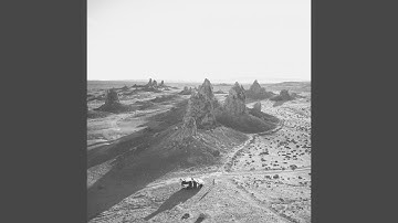 Alluring Backdrops for Rejuvenation