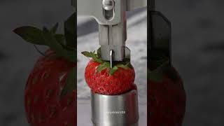 Tiny Strawberryvs crusher #macro #satisfying #asmr