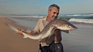Requins, Vagues Et Adrénaline - Cyril Chauquet
