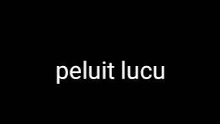 pluit lucu