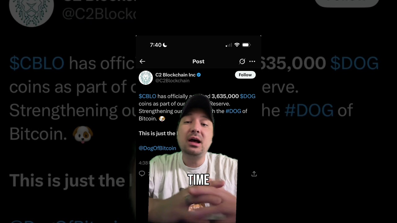 Bitcoin Rune $Dog is the first Memecoin added to a company's strategic Reserve