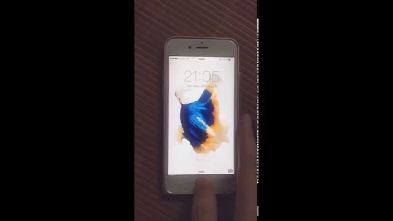 Set Wallpaper Iphone 6S Fish On Iphone 6(Hình Nền Động Hình Cá Trên Iphone  6S Cho Iphone Cũ 5, 6) - Youtube