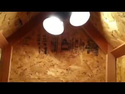 DOG HOUSE WITH HEAT FOR THE WINTER - YouTube