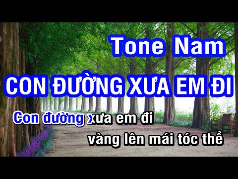 Karaoke Con Đường Xưa Em Đi Tone Nam | Nhan KTV