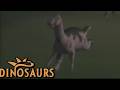 The Official Video of Dinosaurs Edmontosaurus screen time