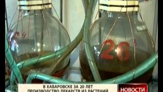 Новости недели. Дикоросы Новости недели. Дикоросы