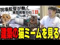 【ゆゆうた】建築の猫ミームを見る『そうそうそう事務所で寝るんだよね』【ゆゆうた切り抜き】