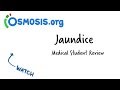 Jaundice causes, treatment pathology - YouTube