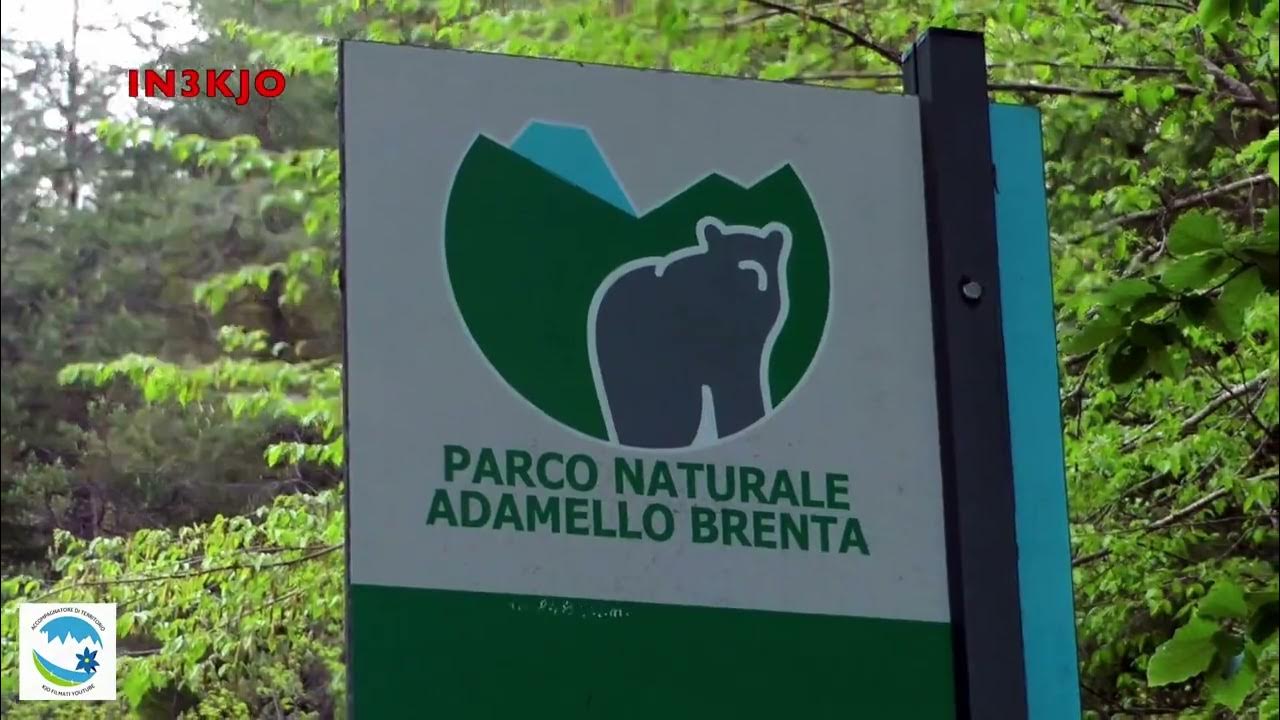 RISALITA LA VAL D'ALGONE YouTube