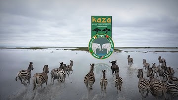 Kavango-Zambezi Transfrontier Conservation Area (KAZA TFCA): the world