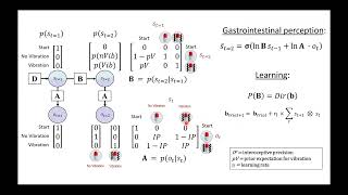 The neurocomputational basis of interoception and emotion-cognition interactions - Ryan Smith