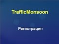 TrafficMonsoon.Регистрация