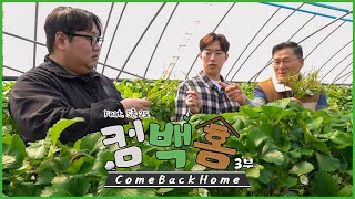 다 사주는 대표님? 일 시키는 사장님?? [컴백홈3 Come Bcak Home]