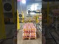 Film-Wrapped Bottles Palletizing - Wanerx Palletizer 🤖