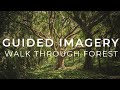 Guided Imagery - Walk Through Forest