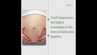 6 Month Pregnant  - Symptoms & Baby Development