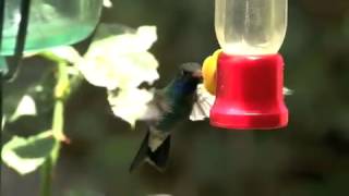 Test Upload via Java on Fri Sep 26 15:36:19 IST 2014