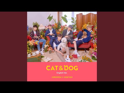 Cat & Dog