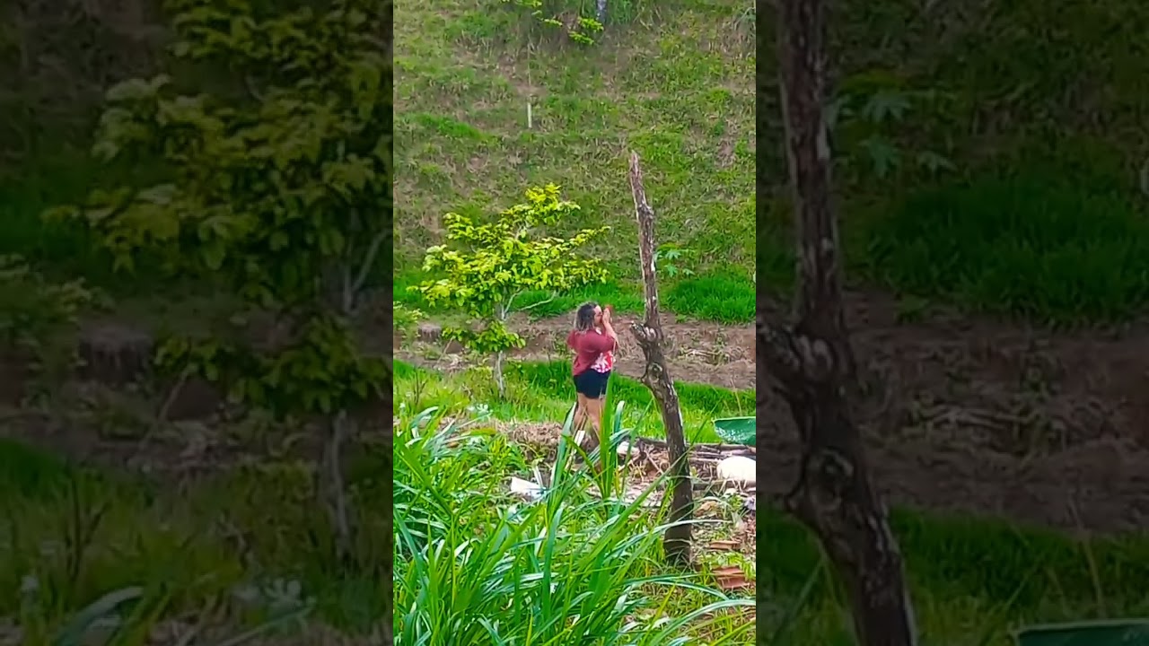 ACREITEM ELA TÁ LÁ 