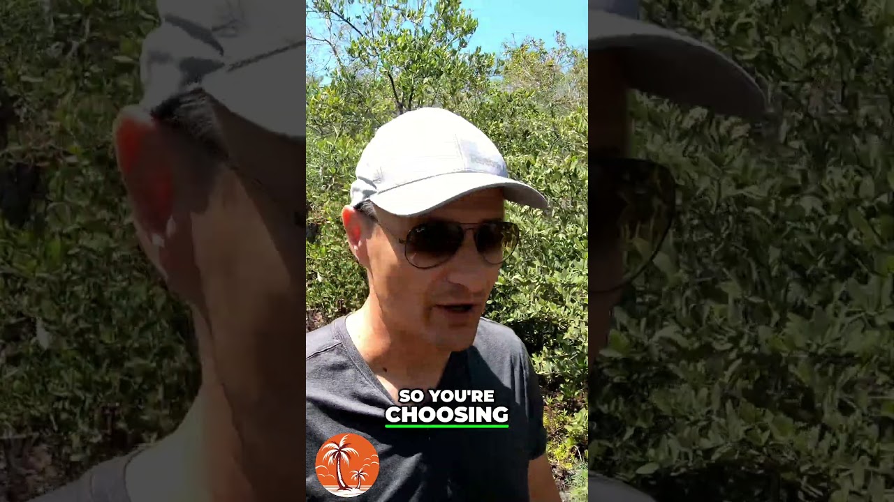 The Real Estate Dilemma: High Rents vs High Interest Rates