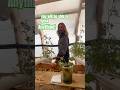 Easiest hydroponics course in Canada! LINK IN THE COMMENTS #hydroponics #farming