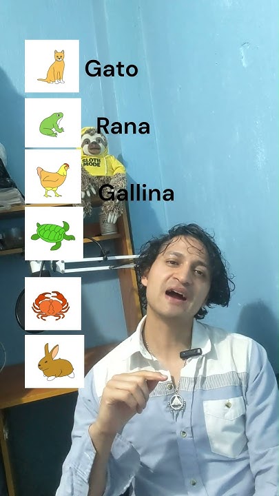 learn-spanish-animals-names-in-spanish-learning-spanishvocabulary