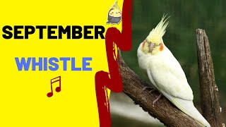 SEPTEMBER with Whistle- Cockatiel Singing Training - Bird Whistle - Parrot Practice