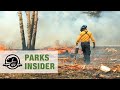 Fire management at Wood Buffalo National Park