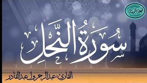 سورة النحل للقارئ الموريتاني عبد الرحمن ول عبد القادر