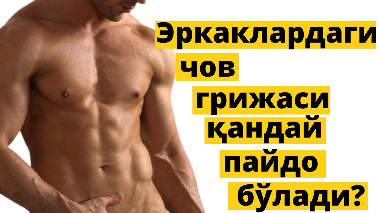 Liftda sikni sorishni yaxshi koradi On a Leash porno videolar onlayn