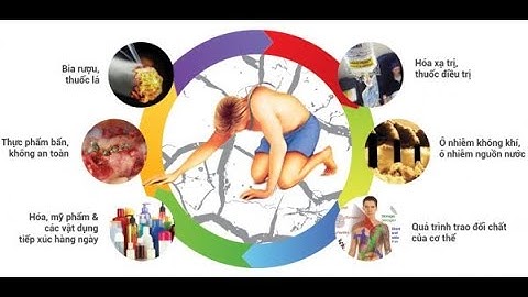 Độc tố trong cơ thể đến từ đâu  VTV  phim tài liệu