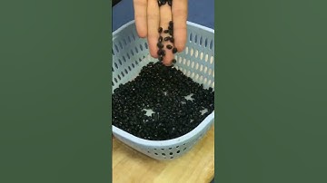 Cách thanh lọc cơ thể giải độc cho Gan, Thận cực kỳ hiệu quả #shorts #shortvideo #shortsvideo