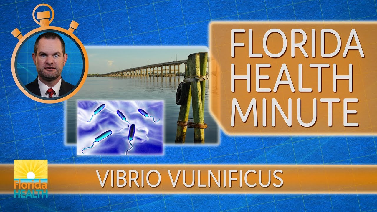 Florida Health Minute Vibrio vulnificus YouTube