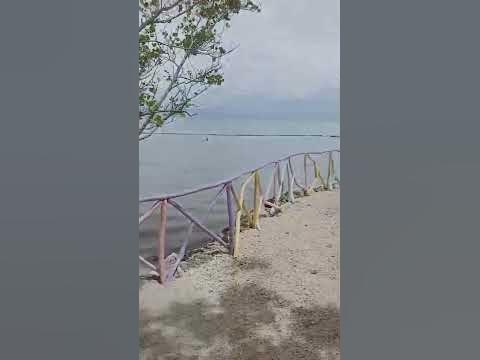 Lamtew beach Resort Saranggani Province. - YouTube