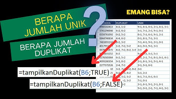 Rumus Mencari Data Duplikat dan Unik Disertai Jumlahnya