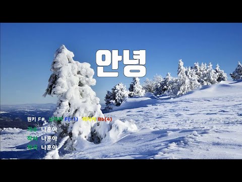 [은성 반주기] 안녕 - 나훈아