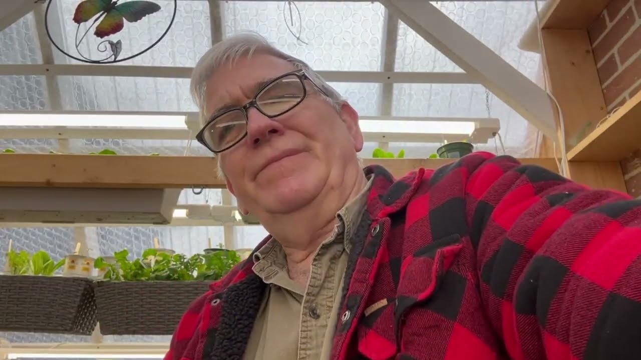 Обновление по огороду № 004. 7 февраля 2026 г.