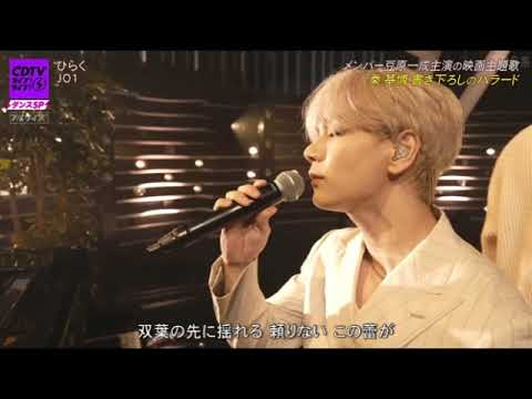 【CDTVライブライブ】JO1「ひらく」新曲 フル 2025年10月20日 LIVE FULL