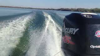 mako 18lts mercury optimax pro xs 115